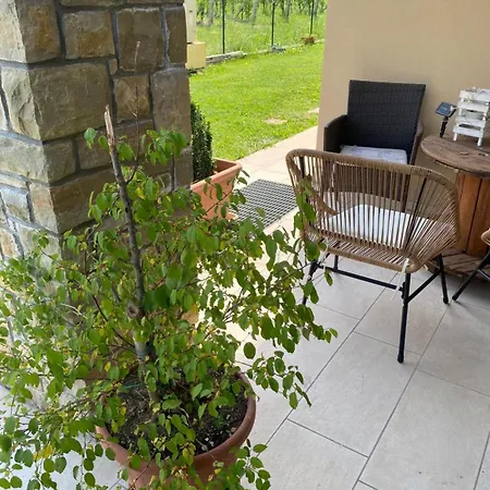 Orchidea Del Garda & *