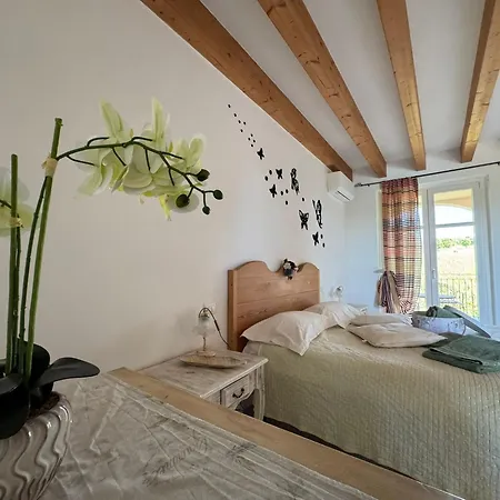Orchidea Del Garda & Apartment *
